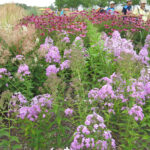 Blumenbeete