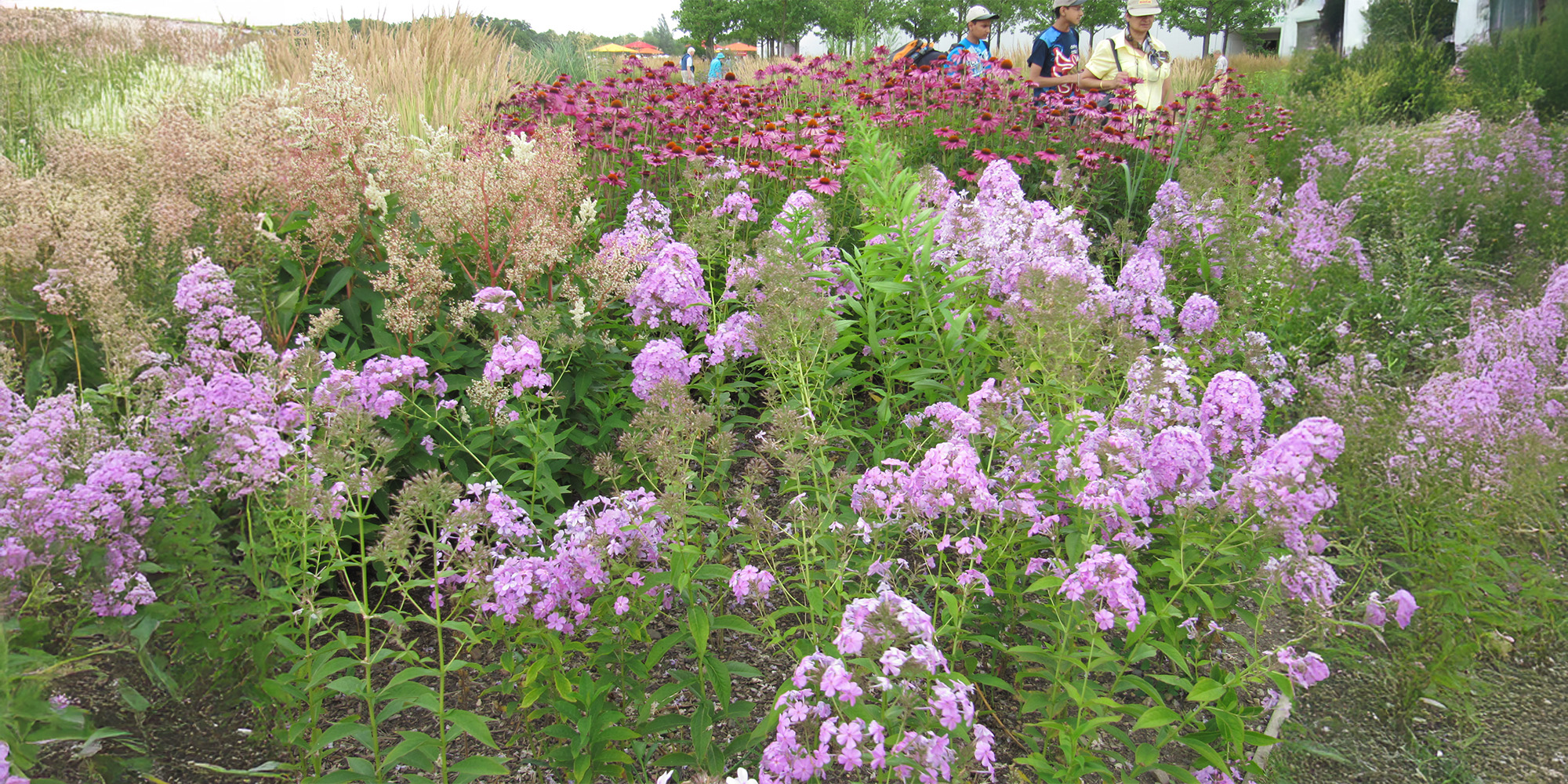 Blumenbeete