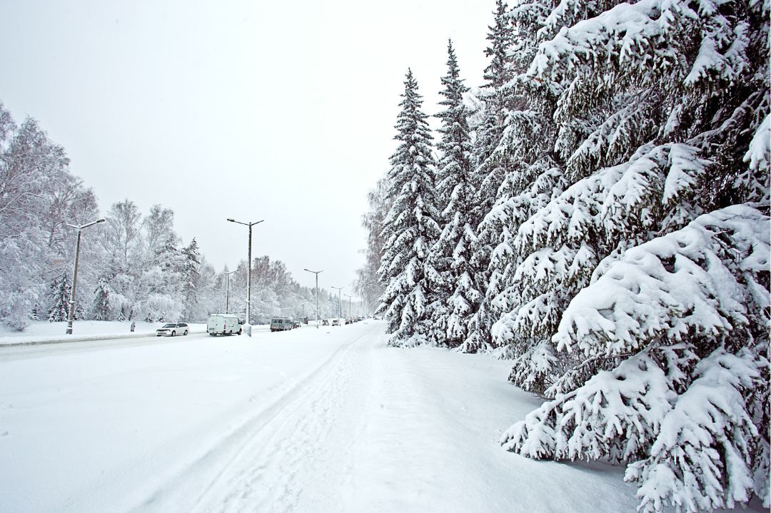 Winterlandschaft
