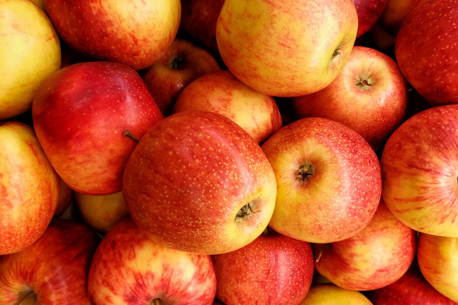 Äpfel