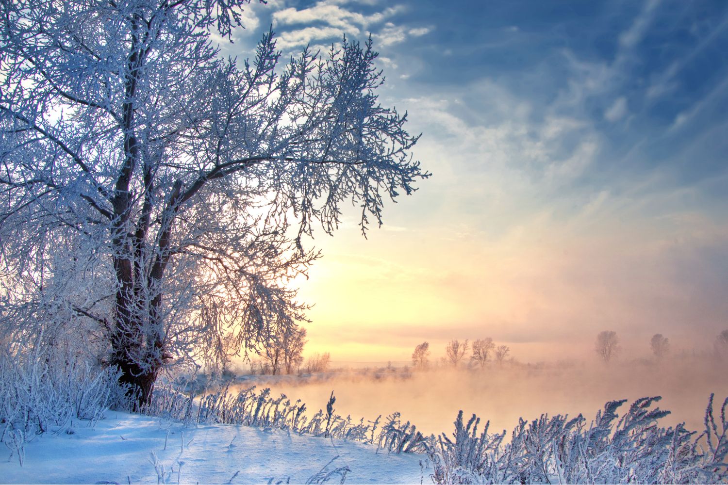 Winterfest
